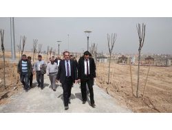 Konya'da Ayda 10 Bin Kelebek Uçurulacak