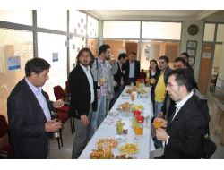 Yıldırım Koleji 'Gazete Günleri' Sona Erdi