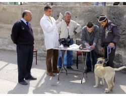 Kuduz Ve Larva Mücadelesi Başlıyor