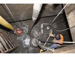 Mazgallarda Bahar Temizliği