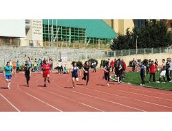 Burhan Felek’te 'Yıldızlar-gençler Olimpik Sporcu Yarışmaları' Yapıldı