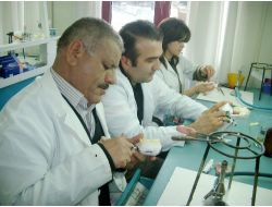 4 Dakikada Diş Tamiri Danıştaylık Oldu