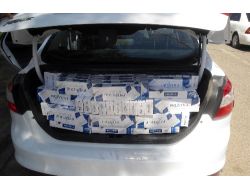 Gümrük Kaçağı Sigaralardan Böcek Çıktı