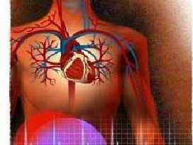 Türkiye'de yılda 200 bin kişi kalbine yeniliyor