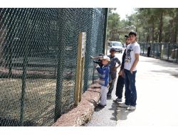 Yeni Açılan Uşak Hayvanat Bahçesi Yoğun İlgi Görüyor