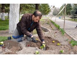Kocasinan Belediyesi Sokakları Çiçeklerle Renklendirdi