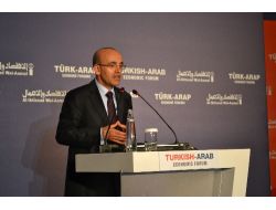 Babacan’dan Bm’ye Suriye Tenkidi: Edilgen, Reforma Tabi Tutulmalı