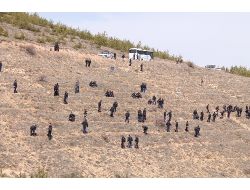 Bayburt Polisi, 2000 Fidan Dikti