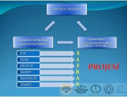 Safran Projesi, Safranbolulu Gençlere Sporu Sevdirecek