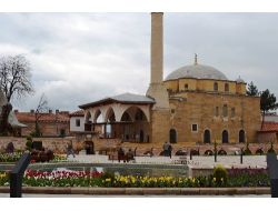 Merzifon’a Bahar Lalelerle Geldi