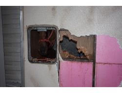 Uşak’ta Trafik Kazası: 4 İnsan Ve 4 Yarış Atı Yaralandı