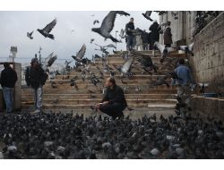 Çocuklara Oyun, Yaşlılara Uçup Giden Ömrü Hatırlatır Güvercinler (Özel)