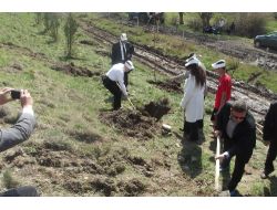 Liseli Gazeteciler Altı Günde 6 Bin Fidan Dikecek