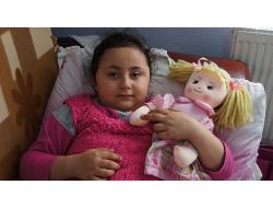 Sokak Köpekleri, 6 Yaşındaki Çocuğu Isırdı