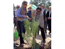 Muğla’da Gönül Elçileri Hatıra Ormanı Oluşturuldu