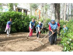 Acılım Sonuç Verdi Bin 500 Roman’ın Sigortalı İşle Hayatı Değişti