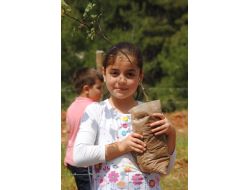 Çevre Gönüllüleri Manavgat'ta Bin Fidan Dikti