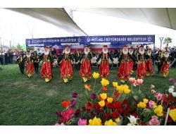 Kocaeli'nde En Güzel Lale Yarışması Renkli Görüntülere Sahne Oldu