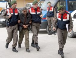 Çalınan Koyunlar, Feribotta Bulundu