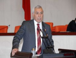 Adana'daki At Ve Eşek Eti Skandalı Meclis'e Taşındı