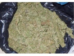 Batman'da Zehir Tacirlerine Göz Açtırılmıyor