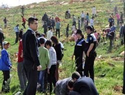 Artuklu Üniversitesi Kampüsünün Ağaçlandırılmasına Emniyetten Destek