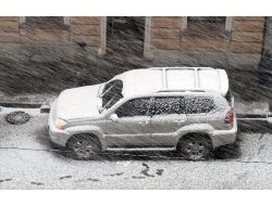 St. Petersburg Kara Teslim