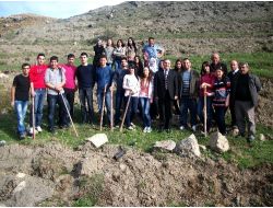 Amasya Üniversitesi Öğrencilerinden Ağaçlandırma Çalışması