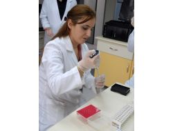 Çü Laboratuvarlarında 4 Bin Aileye Doğum Öncesi Tanı Testi Yapıldı