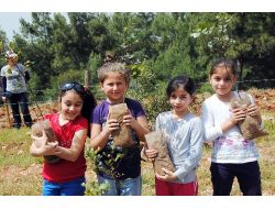 Çocuklar, Ormanları Ve Yeşili Korumayı Oyun Oynayarak Öğreniyor