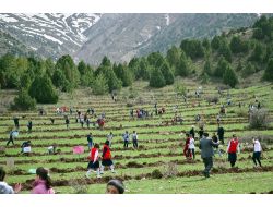 ‘bin Fidan Bir Orman’ Projesi Erzincan’ın Yeşillenmesine Katkı Sağlayacak