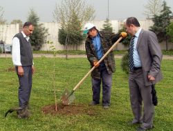 Öğretmen Ve Öğrenciler Birlik Olup Ağaç Dikti