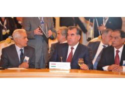 İmamali Rahman, Belçika'ya Gitti