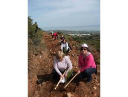 Denizli Belediyesi Kent Konseyi Kadın Meclisi Üyeleri Ağaç Dikti