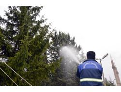 Kocasinan Belediyesi Ağaçları İlaçladı