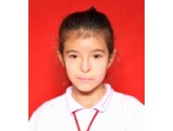 Ortaokul Öğrencisi Sinem, Yolun Karşısına Geçmek İsterken Öldü