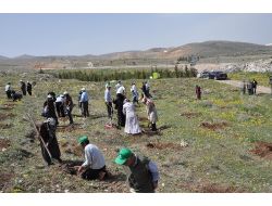 'Gönül Gözleriyle 300 Gidan Diktiler'