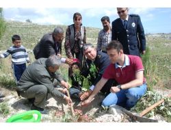 Silifke’de Minik Eller Polis Ormanını Güçlendirdi