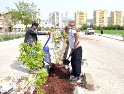 Kozan Çiçeklerle Süsleniyor
