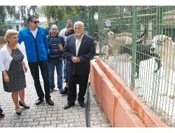 Erkan Petekkaya, Hayvan Barınağını Ziyaret Etti