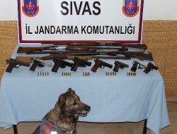 Silah Kaçakçılığı Operasyonu