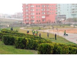 Niğde'de Yeşil Alan Çalışmaları Devam Ediyor