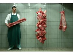 Hollanda 50 Bin Ton Eti, At Eti Şüphesi İle Toplatmaya Başladı