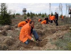 Mahkumlar Umutların Yeşermesi İçin Fidan Dikti