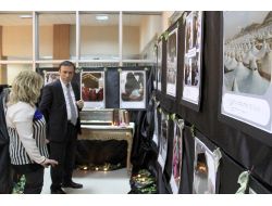 Kutlu Doğum Programında ‘her Kadın Hacer’dir’ Fotoğraf Sergisi Düzenlendi