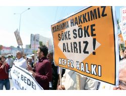 Domates, Taze Soğan Ve Peynirli 2b Eylemi