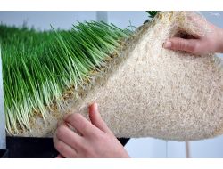 1 Kilogram Arpadan 9 Kilogram Taze Yeşil Yem Üreten Sistem Türkiye'de