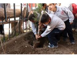 'Gençlerin İyilik Ağacı' Adana'da Da Büyüyor