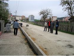 Eflani Belediye Başkanı Ertuğrul, Kilitli Parke Çalışmalarını Yerinde İnceledi