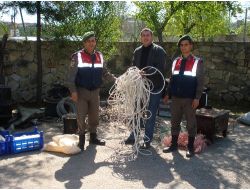 Hırsızlık Şüphelileri Gözaltına Alındı, 16 Olay Aydınlatıldı
